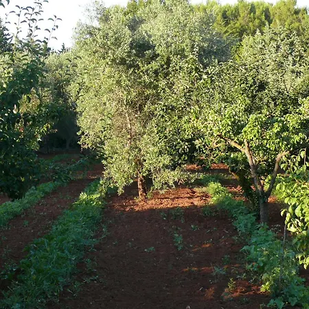 Вилла Riggia - La Masseria